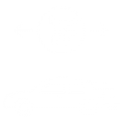 PayPal-Friendly Airport Transfer Services