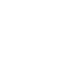 PayPal-Friendly Vehicle History Check Services