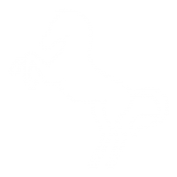 PayPal-Friendly Horse Supply Stores PayPal-Friendly Horse Supply Stores