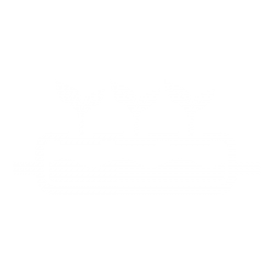 PayPal-Friendly Hydroponic Supply Stores